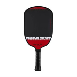 JOOLA Raquette Pickleball Agassi Edge 16