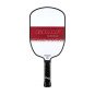 JOOLA Pickleball Set Agassi & Graf Champion